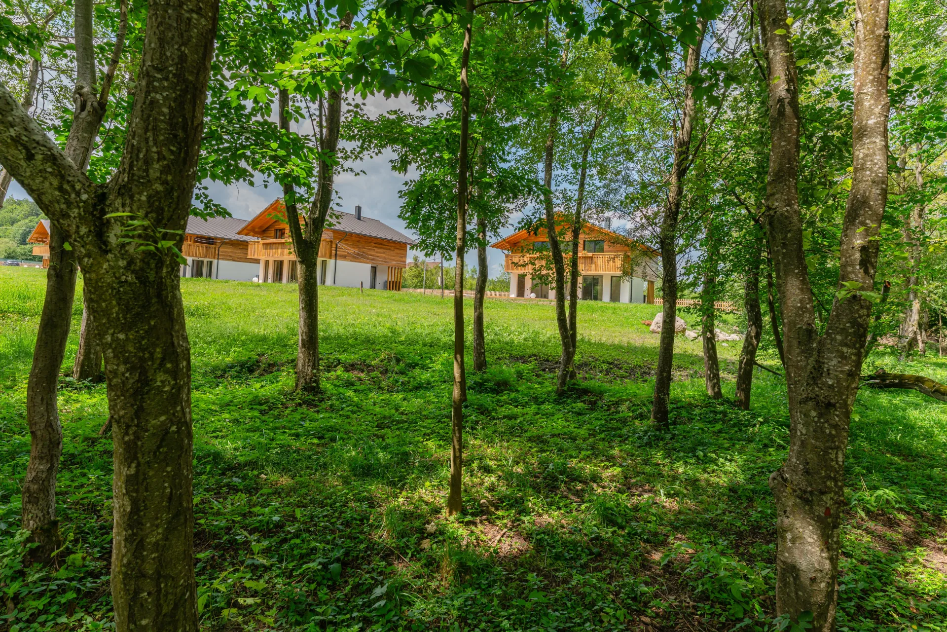 Alpinia Chalets - miniatură 3
